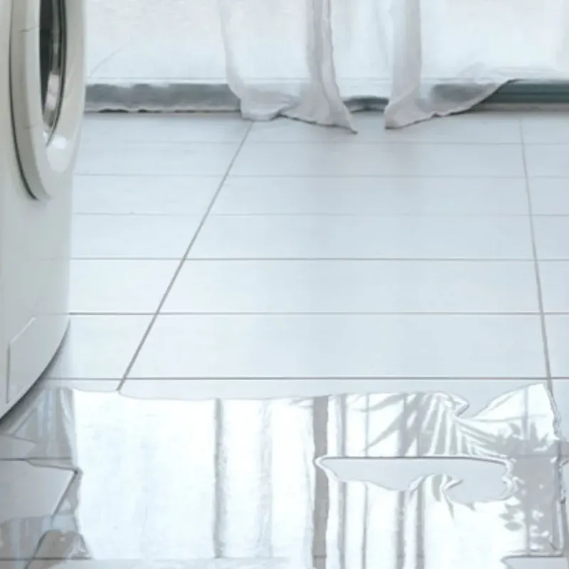 Appliance Leak Cleanup in Sussex County, VA