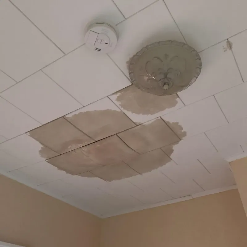 Ceiling Water Damage Repair in Sussex County, VA