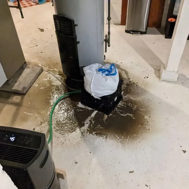 Sewage Backup Cleanup Service in Sussex County, VA